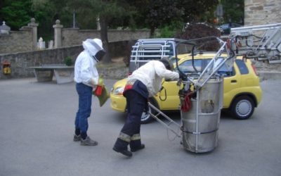 Bienen Ornavassoturm