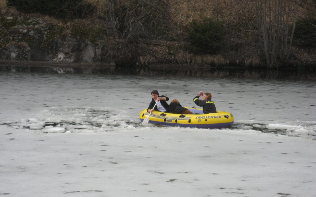 Tierrettung Hund im Bitschjisee