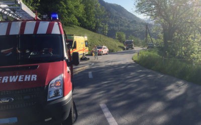 Verkehrsunfall Birchegga