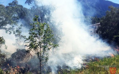 Böschungsbrand Weingartenstrasse