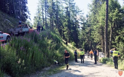 Verkehrsunfall Salwald