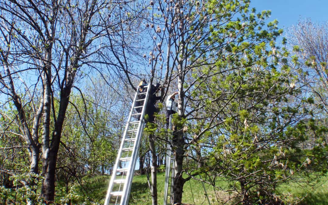 Bergung Gleitschirmpilot