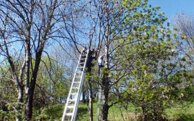 Bergung Gleitschirmpilot